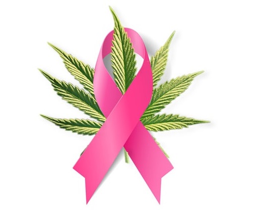 Curación del cancer con cannabis