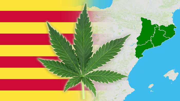Cataluña regula la venta de cannabis