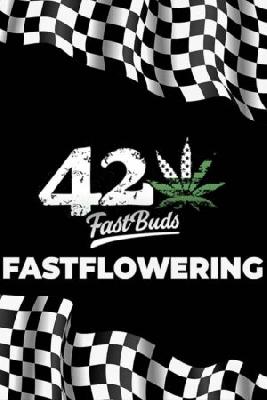 Ak Auto 1 Semilla Feminizada Autofloreciente 420fastbuds
