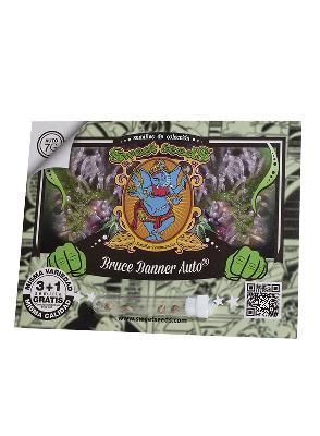 Bruce Banner Auto 3 + 1 Semillas Feminizadas Autoflorecientes