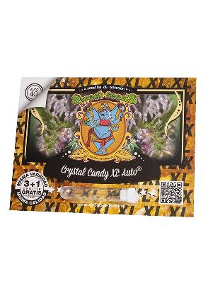 Cristal Candy Xl Auto 3 + 1 Semillas Feminizadas Autoflorecientes 