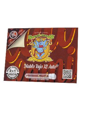 Diablo Rojo Xl Auto® 3 + 1 Semillas Feminizadas Autoflorecientes