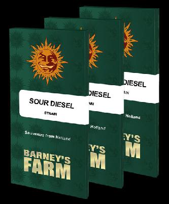 Sour Diesel 1 Semilla Feminizada Barneys Farm